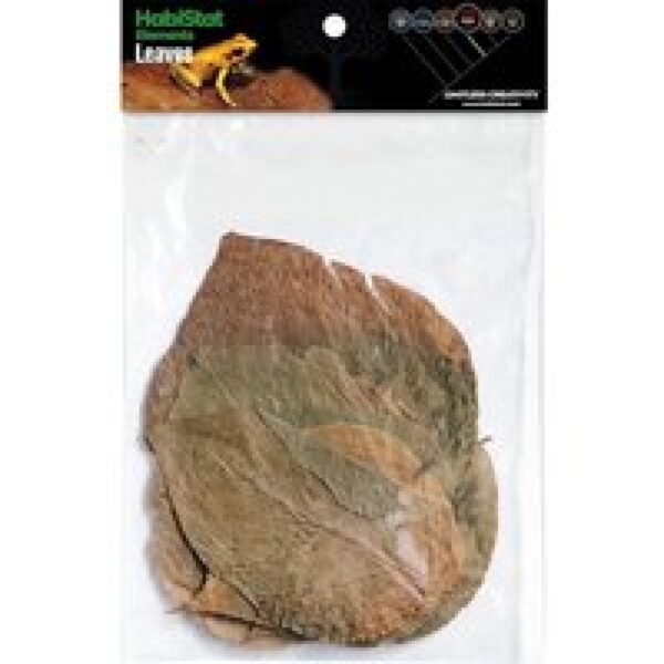 HabiStat Bladeren Dadap 10 Stuks | natuurlijk bladstrooisel voor bioactief terrarium