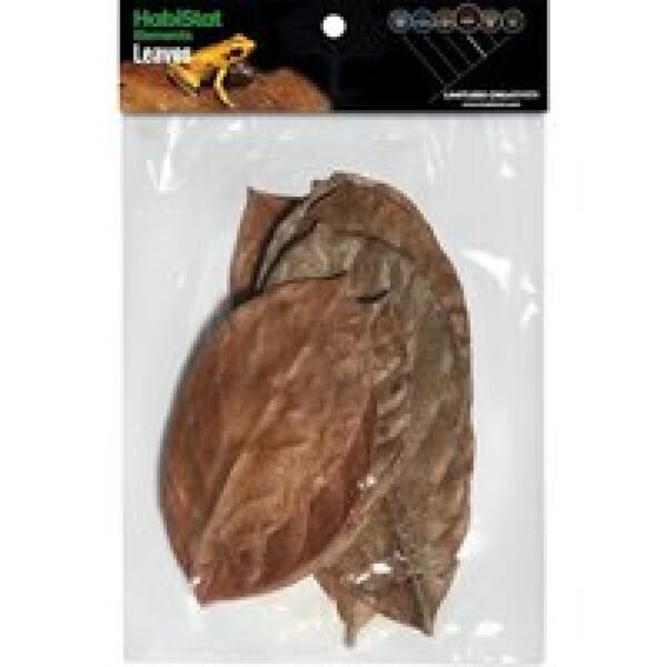 HabiStat Bladeren Jackfruit 10 Stuks voor bioactieve terrarium bodembedekking