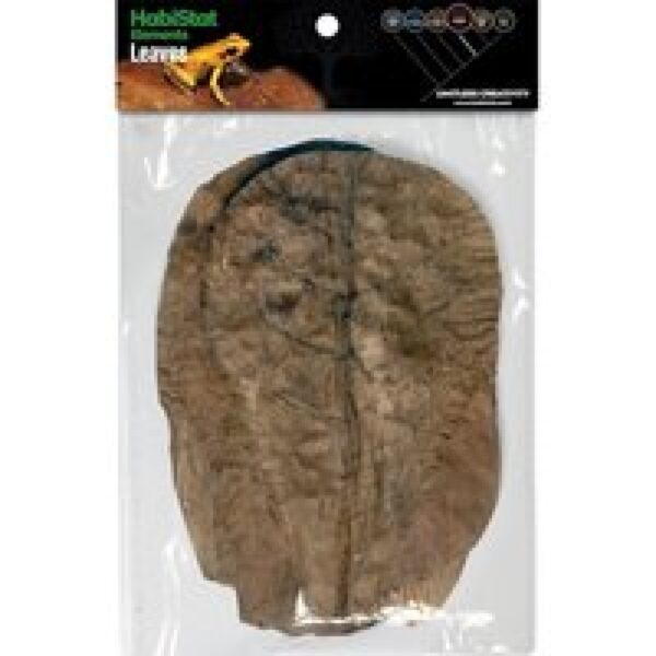 HabiStat Catappa bladeren 10 stuks voor terrarium en aquarium