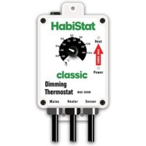 HabiStat Dimmende thermostaat hogere temperaturen 600W wit voor terrarium verwarming tot 600W Wit