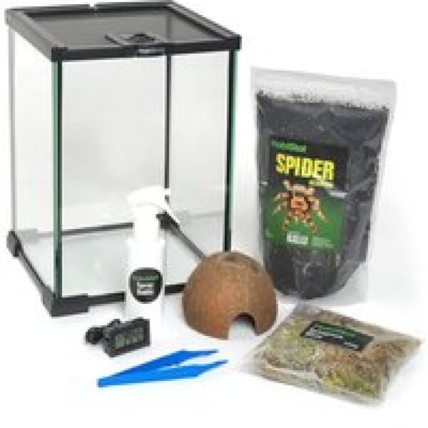 HabiStat Ongewervelden Starter Kit 20x20x30 cm compleet terrarium voor insecten en spinnen