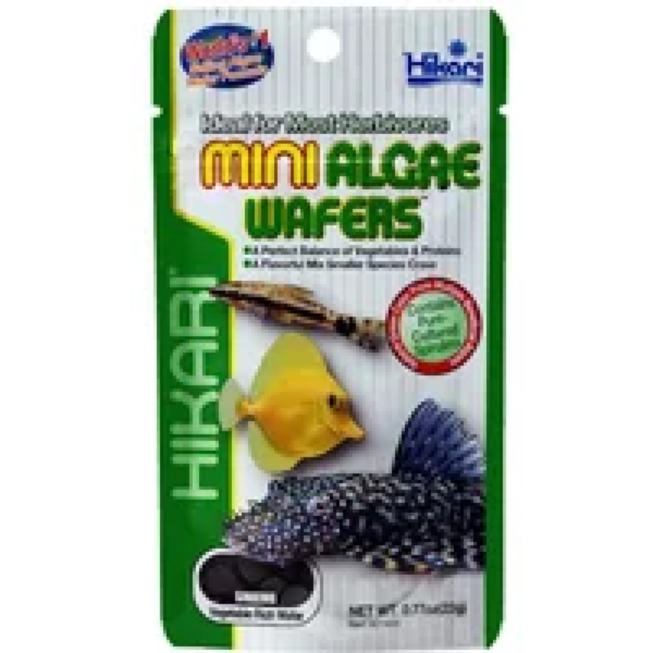 Hikari Mini Algae Wafers 22 Gram