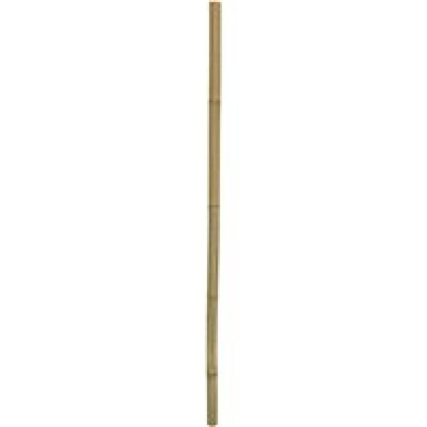 Hobby Bamboo Stix bamboestokken voor terrarium Diverse maten | klimmogelijkheden voor reptielen 100CM - Doorsnede 2-3CM