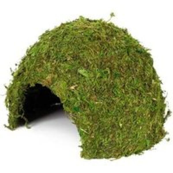 Hobby Terrarium Jungle Cave mosgrot 11-25,5 cm | natuurlijke schuilplaats voor regenwoudterrarium 11 x 11 x 9CM