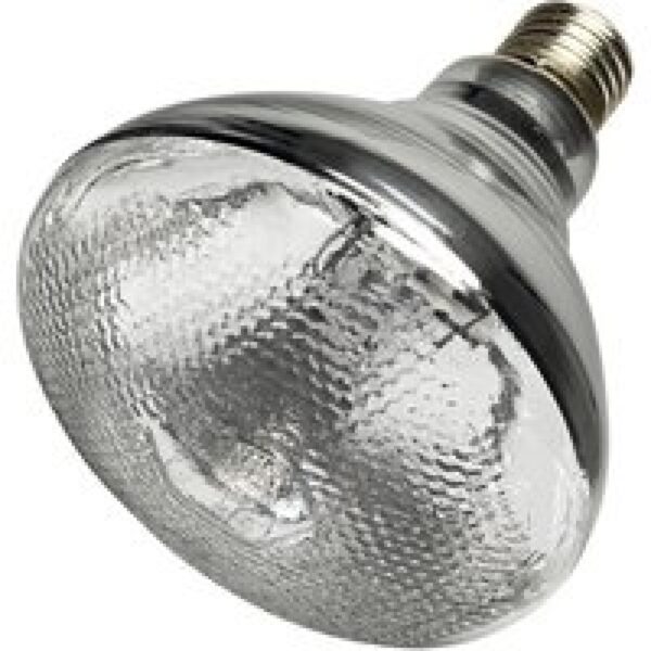 Hobby UV-vlakstraler Terrano UV-Reptile Vital Power 160W voor zonnebadende reptielen