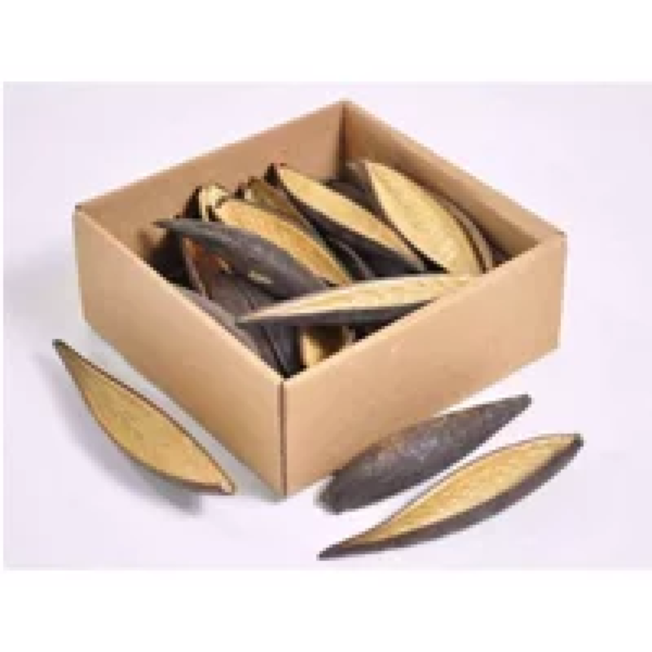 Junai.nl Canoinhas Pod 10-14cm