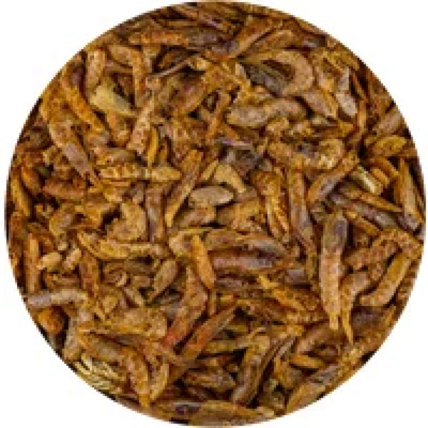 Junai.nl Garnalen 2-4cm 130 gram