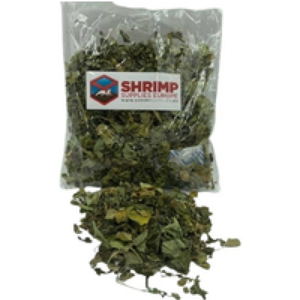 Junai.nl Moringa Bladeren