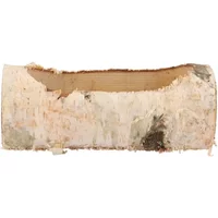 Junai.nl Nature Birch Planter - natuurlijke berkenhouten plantenhouder voor terrarium of interieur 24 x 10 x 9 cm