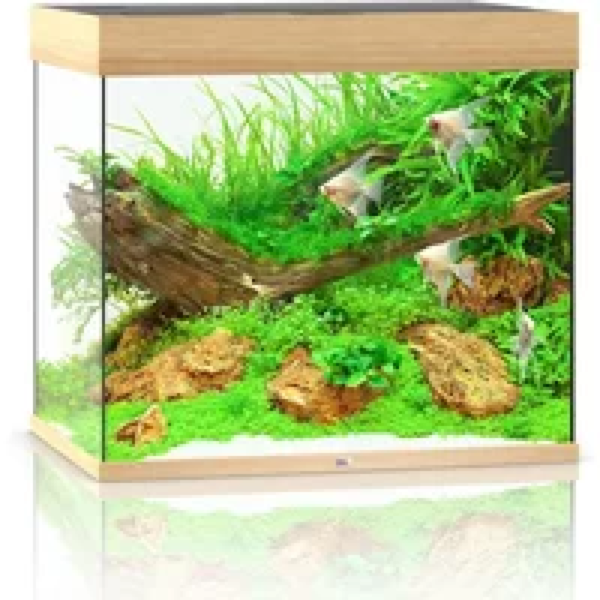 Juwel Lido 200 LED | 200L | 71 x 51 x 65CM Lichthout