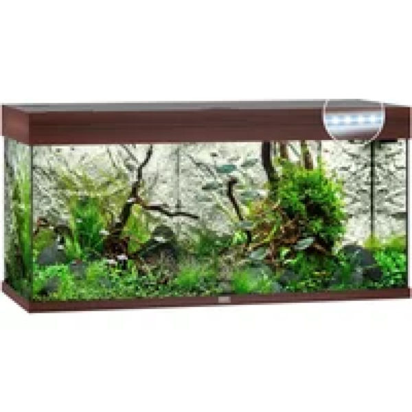 Juwel Rio 180 LED | 180L | 101 x 41 x 50CM Donkerhout
