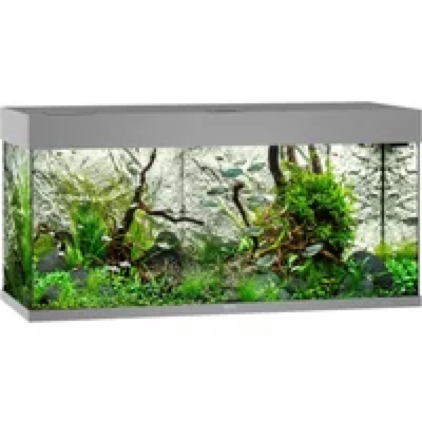 Juwel Rio 180 LED | 180L | 101 x 41 x 50CM Grijs