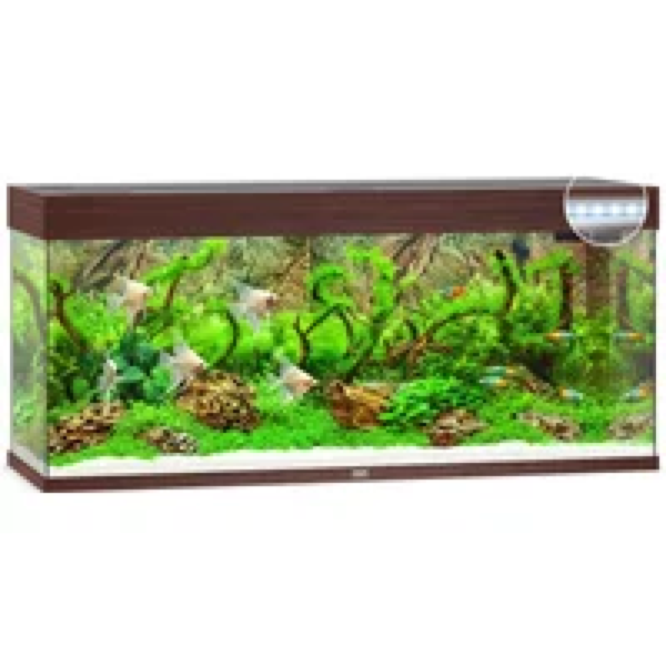 Juwel Rio 240 LED | 240L | 121 x 41 x 51CM Donkerhout