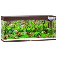 Juwel Rio 240 LED | 240L | 121 x 41 x 51CM Donkerhout