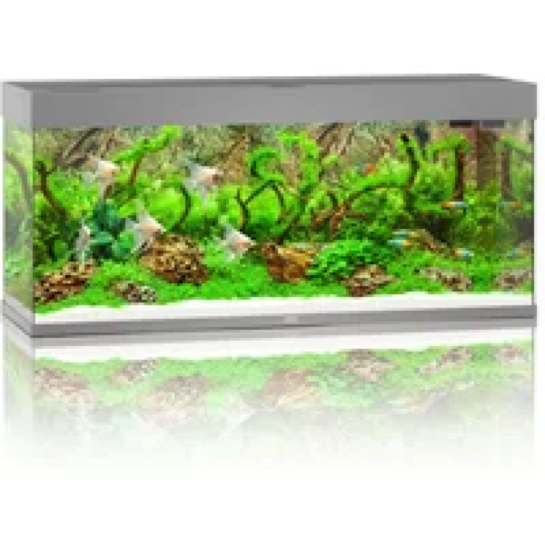 Juwel Rio 240 LED | 240L | 121 x 41 x 51CM Grijs
