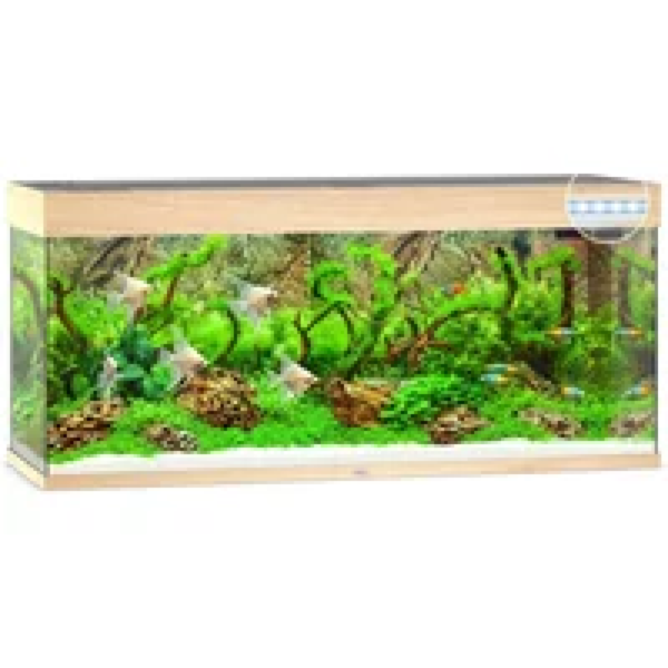 Juwel Rio 240 LED | 240L | 121 x 41 x 51CM Lichthout