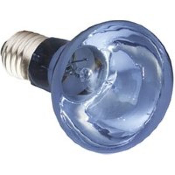 Komodo Neodymium Daglichtlamp 50W