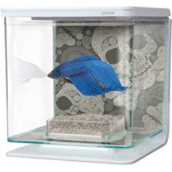 Marina Betta kit doodskop | 2L | 15 x 15 x 15CM Aquarium