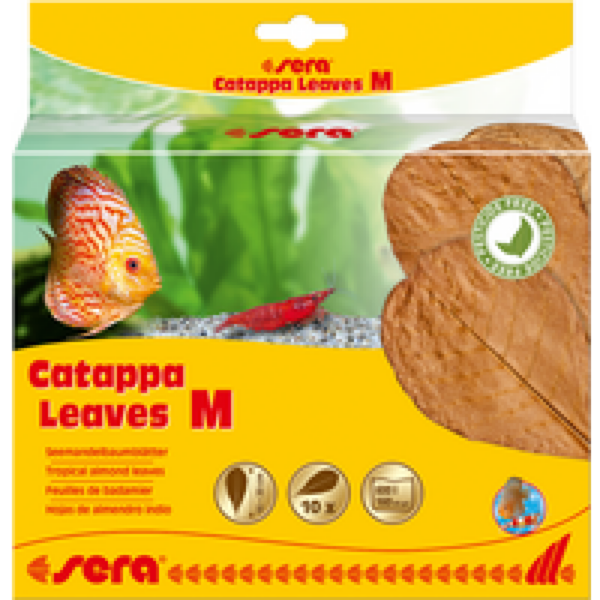 Sera Catappa Leaves 10 stuks 16-20CM