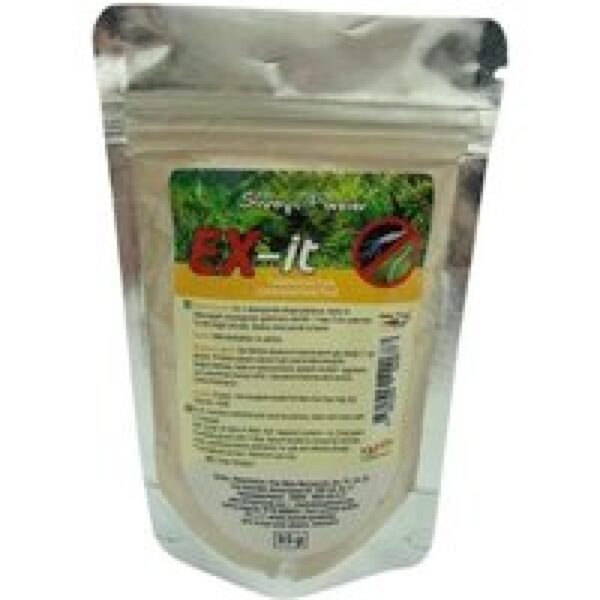 Shrimps Forever Ex-it