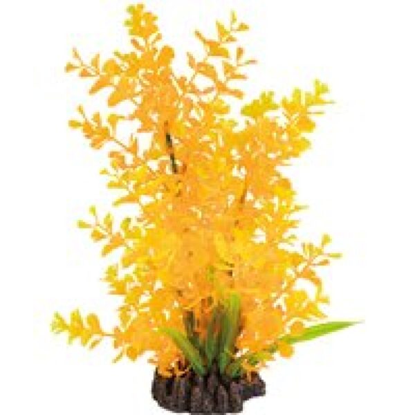 SuperFish Art Plant 25CM Ludwigia Orange