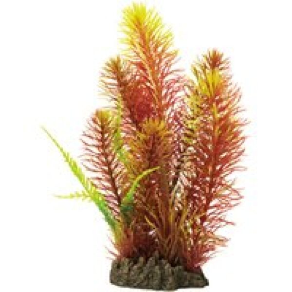 SuperFish Art Plant 25CM Myriophyllum Red