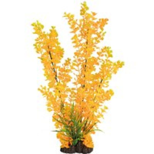 SuperFish Art Plant 40CM Ludwigia Orange