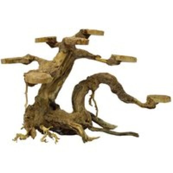 SuperFish Bonsai Planter Small