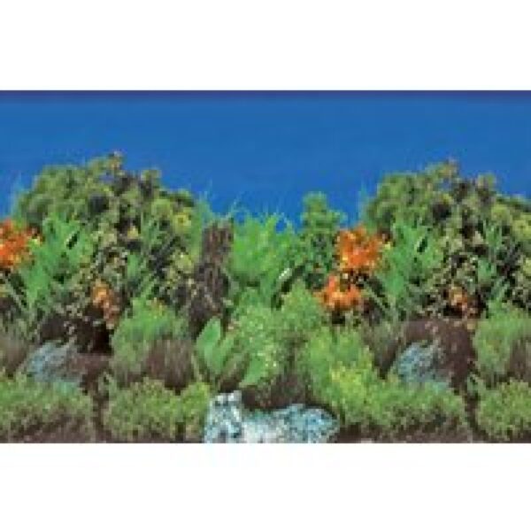 SuperFish Deco Poster Rots / Plant 60X30cm