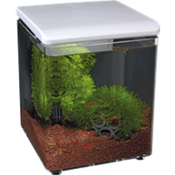 SuperFish Home 8 Aquarium | 8L | 20,5 x 20,5 x 25,7 CM Wit