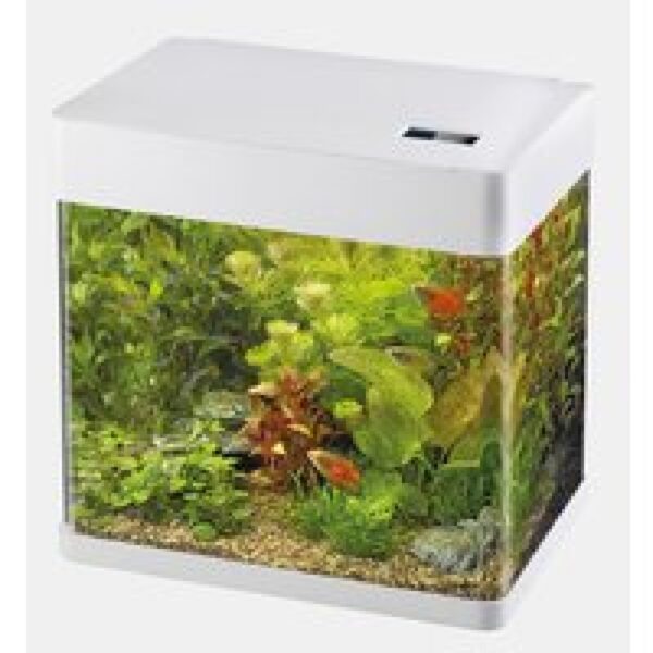 SuperFish Panorama 35 Led | 35L | 38 x 25 x 38CM Wit