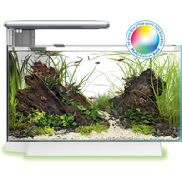 SuperFish Quadro 40 Multi Colour | 28L | 45 x 25 x 35,7CM Wit