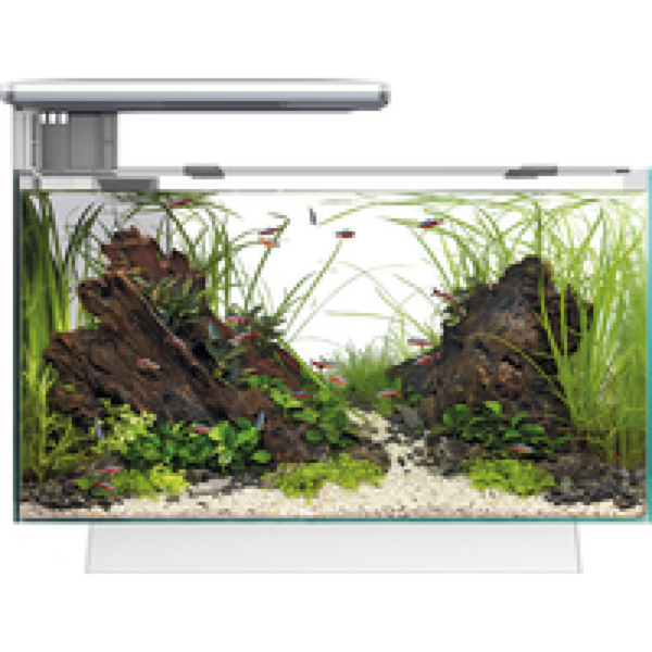 SuperFish Quadro 70 Pro | 67L | 55 x 35 x 45,7CM Wit