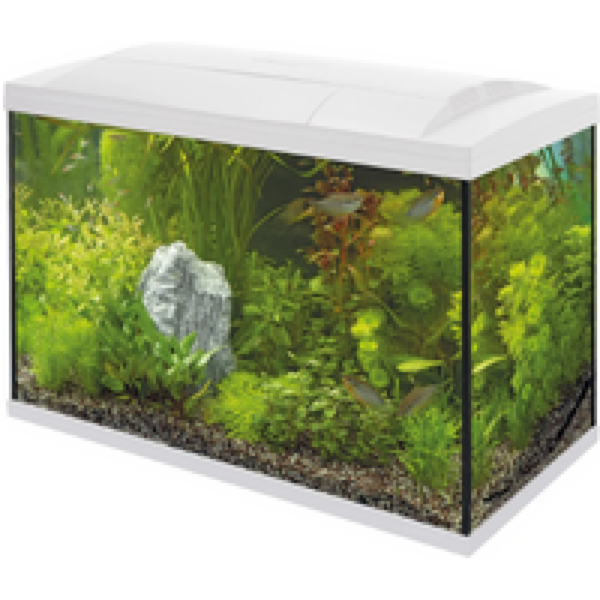 SuperFish Start 100 Tropical Kit | 93L | 68 x 34 x 46 CM Wit