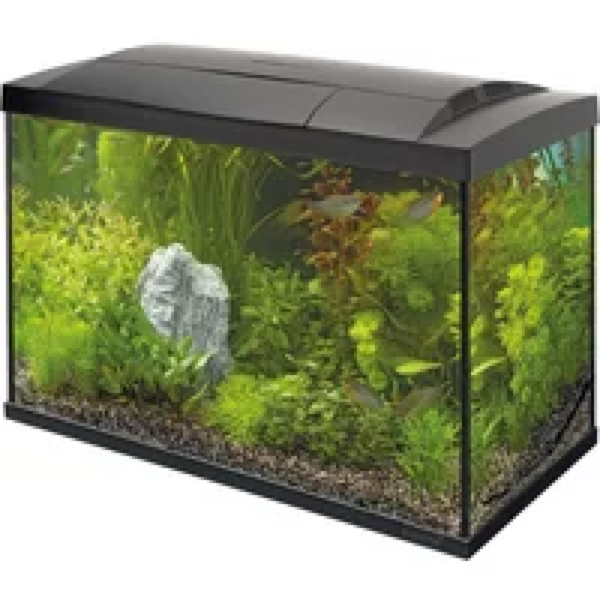 SuperFish Start 70 Tropical Kit | 73L | 59 x 31 x 44CM Zwart
