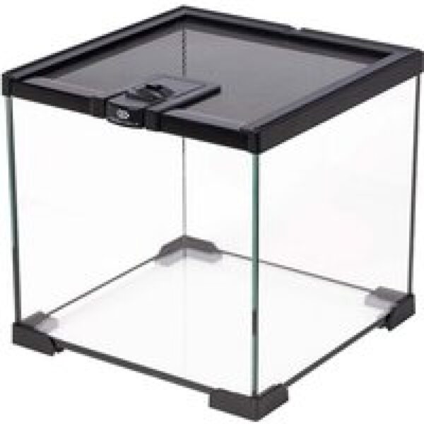Terra Della Glazen terrarium 20 x 20 x 20CM met waterdichte bodem en ventilatierooster