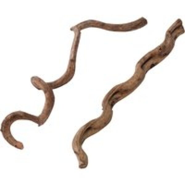 Terra Della Natuurlijke terrarium lianen 75CM|115CM decoratie voor reptielen SM - 75CM