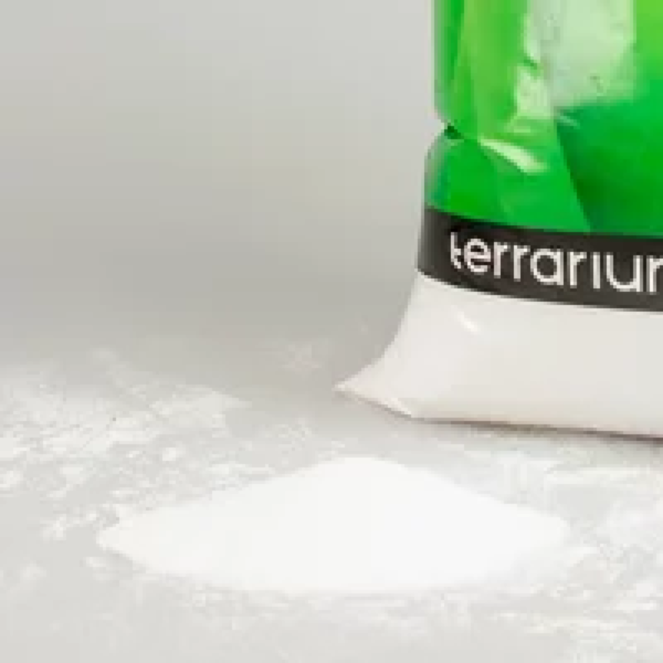 Terra Della Terrariumzand wit 12,5 kg | Natuurlijk terrarium substraat voor woestijnreptielen