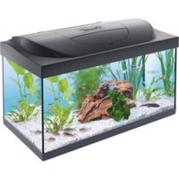 Tetra Starter Line Led | 54L | 60 x 30 x 30CM Aquarium Complete set, alles meegeleverd