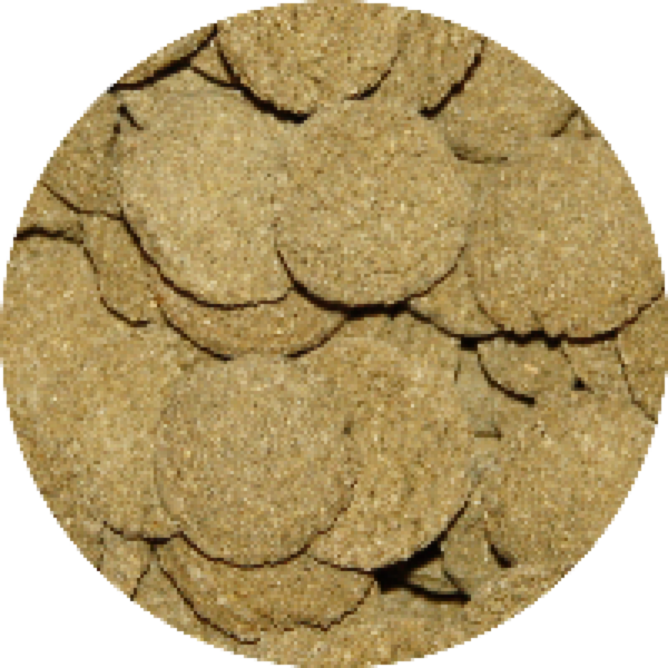 Vivani Algen Wafels 12mm 5KG Voor Algeneters