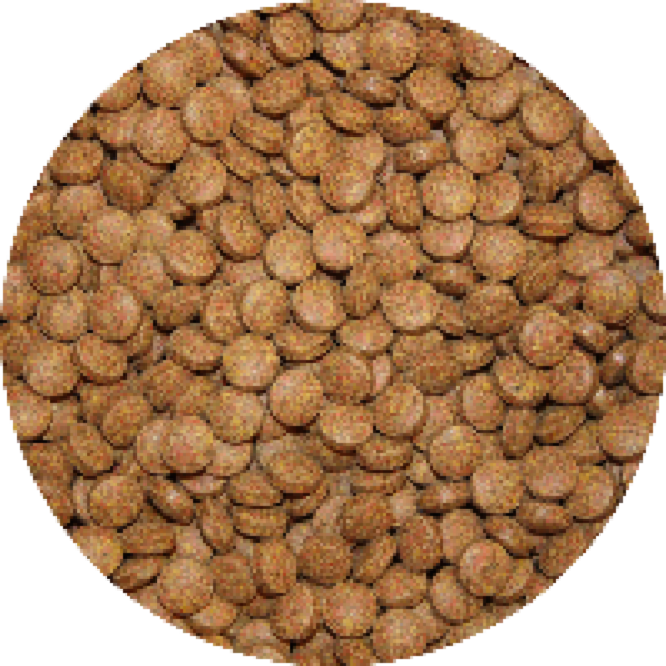 Vivani Bodem Tabletten 5KG