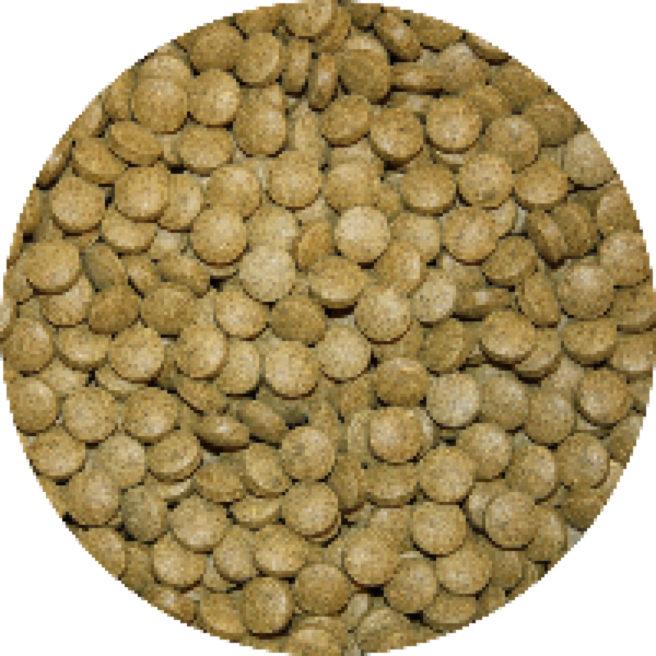 Vivani Bodem Tabletten Groen 5KG