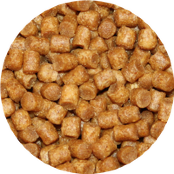 Vivani Cichlide Pellets 4.5mm 5KG Visvoer