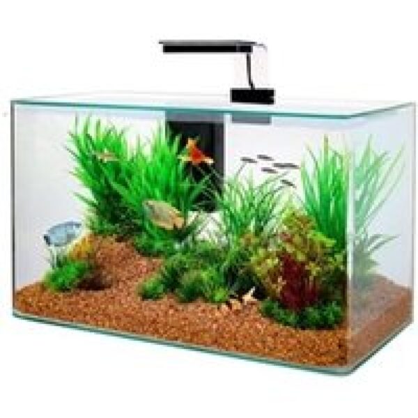 Zolux Clear kit | 32L | 50 x 25 x 38CM Zwart Aquarium Geleverd met afdekplaat, filter en verlichting