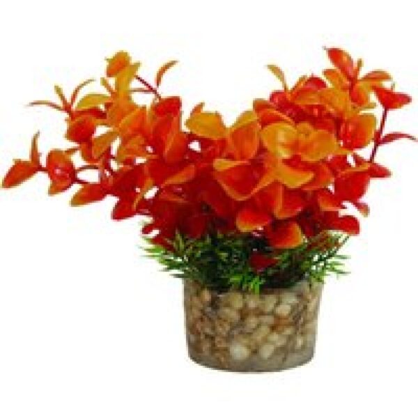 Zolux Kunstplanten Op Grind Assorti